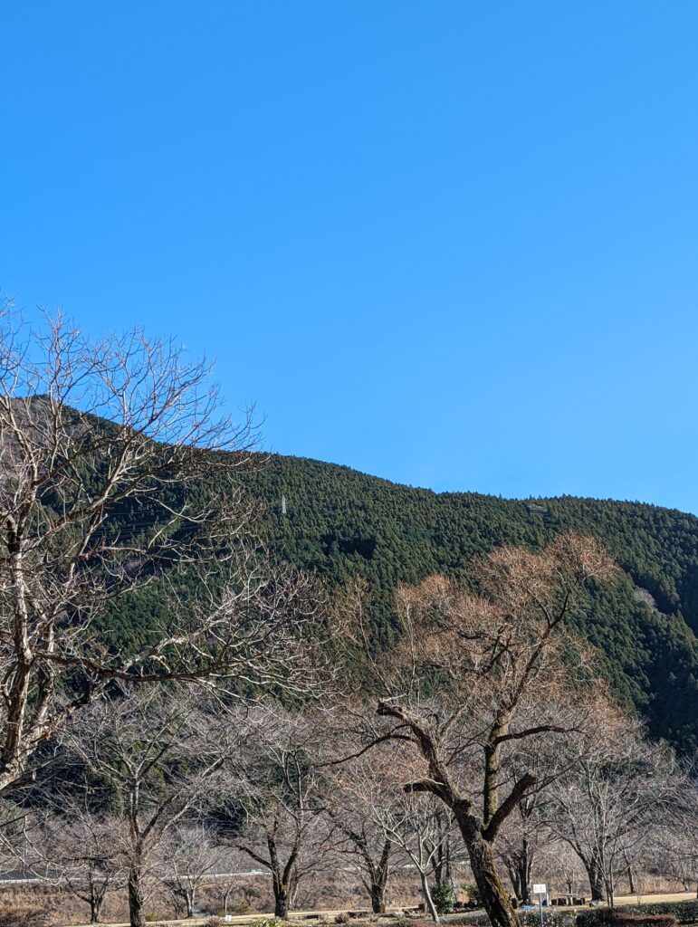 くのわきキャンプ場