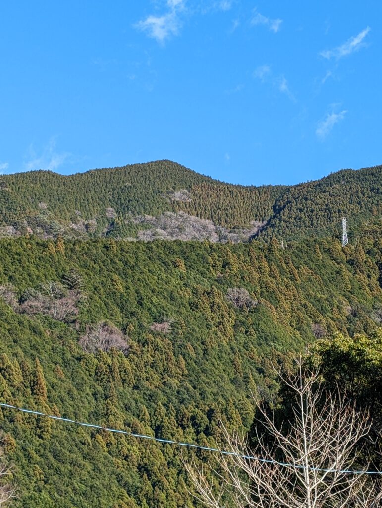 くのわきキャンプ場